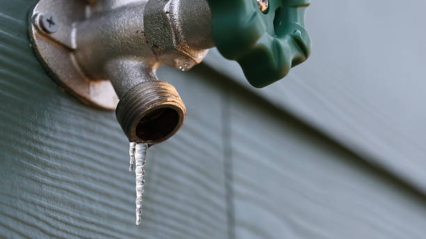 Best Drain Cleaning Services  in Middleport, NY